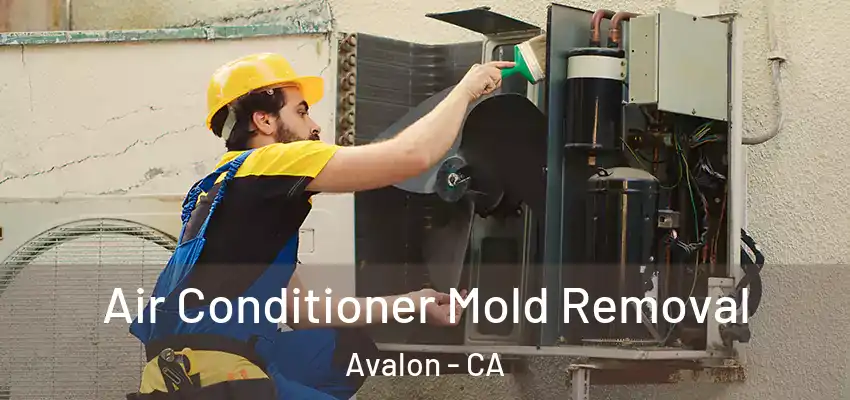  Air Conditioner Mold Removal Avalon - CA