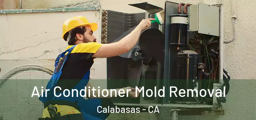  Air Conditioner Mold Removal Calabasas - CA