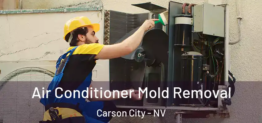  Air Conditioner Mold Removal Carson City - NV
