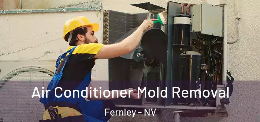 Air Conditioner Mold Removal Fernley - NV