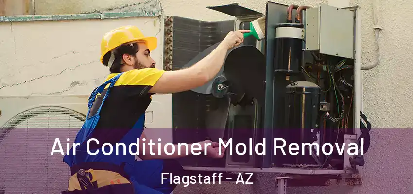  Air Conditioner Mold Removal Flagstaff - AZ