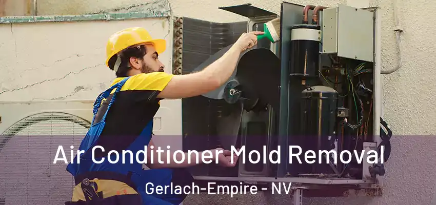 Air Conditioner Mold Removal Gerlach-Empire - NV