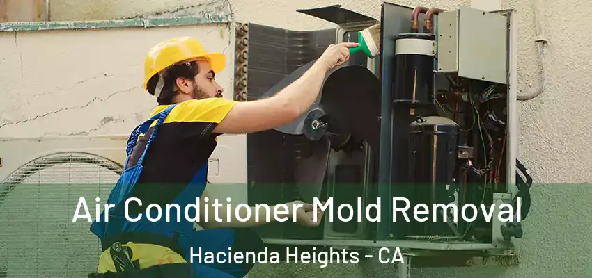Air Conditioner Mold Removal Hacienda Heights - CA