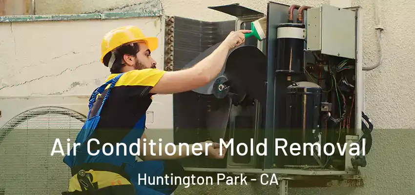 Air Conditioner Mold Removal Huntington Park - CA
