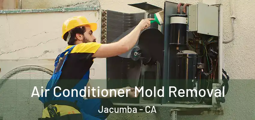  Air Conditioner Mold Removal Jacumba - CA