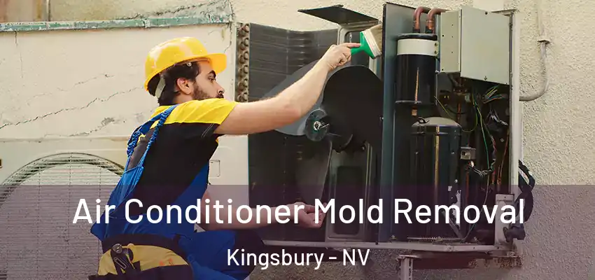  Air Conditioner Mold Removal Kingsbury - NV