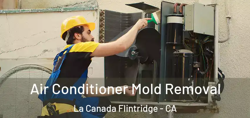 Air Conditioner Mold Removal La Canada Flintridge - CA