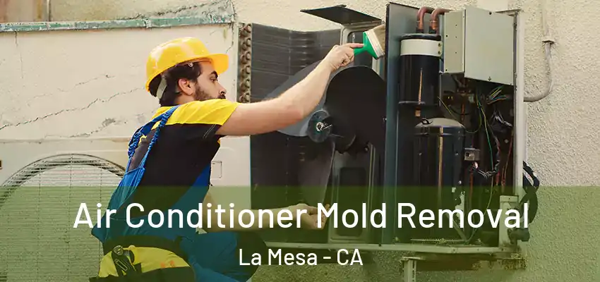  Air Conditioner Mold Removal La Mesa - CA