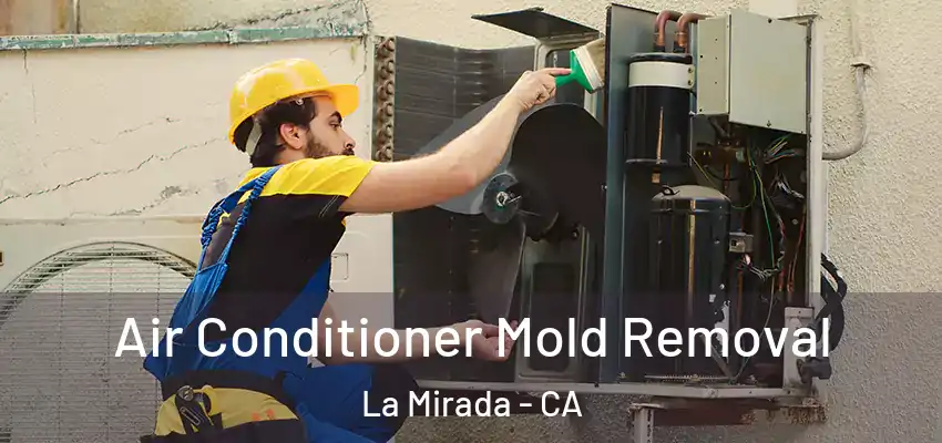  Air Conditioner Mold Removal La Mirada - CA