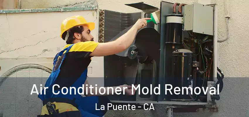  Air Conditioner Mold Removal La Puente - CA