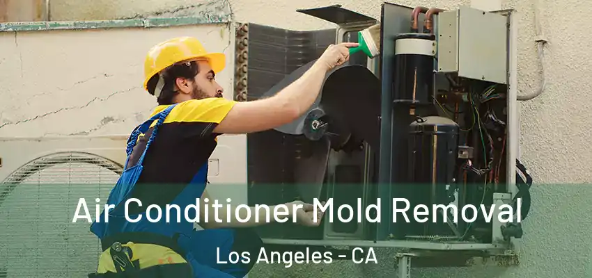  Air Conditioner Mold Removal Los Angeles - CA