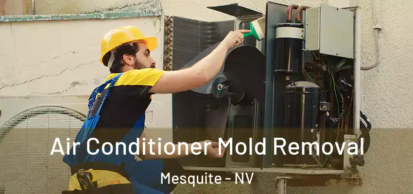  Air Conditioner Mold Removal Mesquite - NV