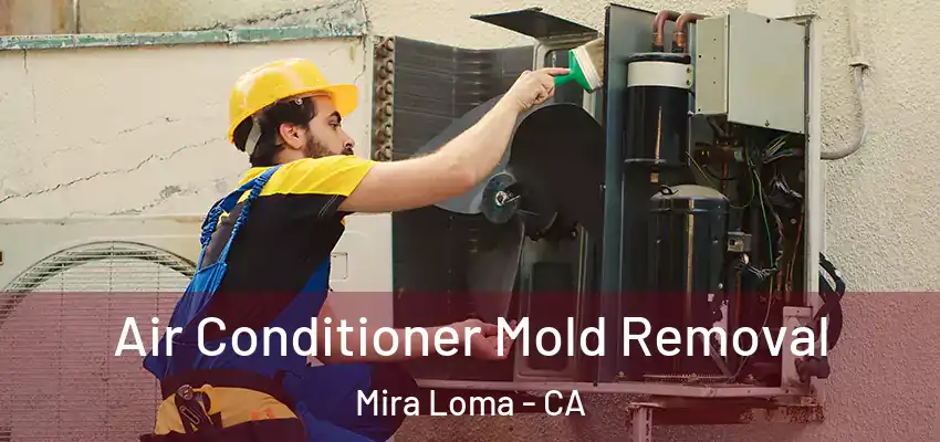 Air Conditioner Mold Removal Mira Loma - CA