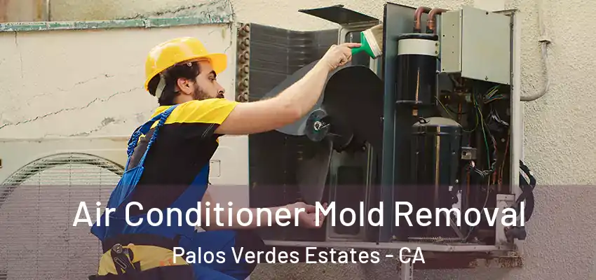  Air Conditioner Mold Removal Palos Verdes Estates - CA