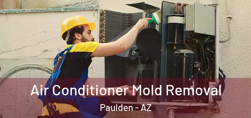  Air Conditioner Mold Removal Paulden - AZ