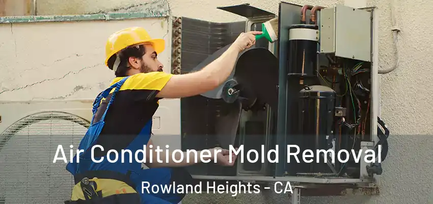  Air Conditioner Mold Removal Rowland Heights - CA