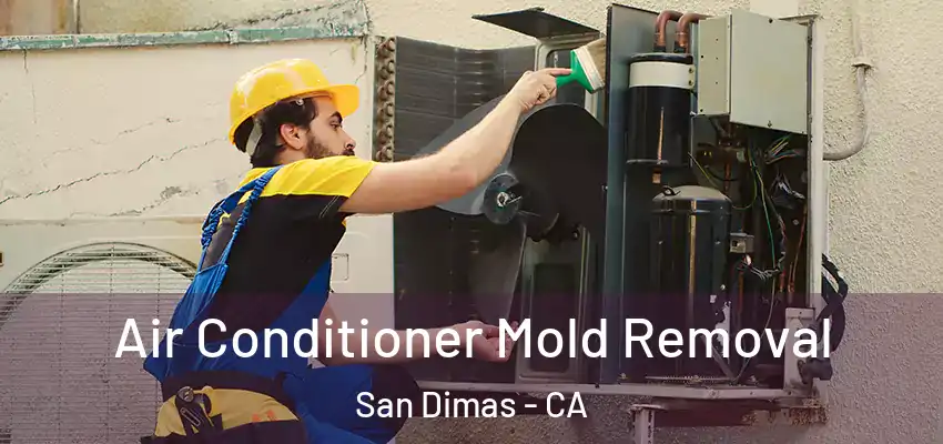  Air Conditioner Mold Removal San Dimas - CA