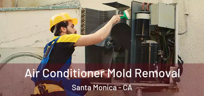 Air Conditioner Mold Removal Santa Monica - CA