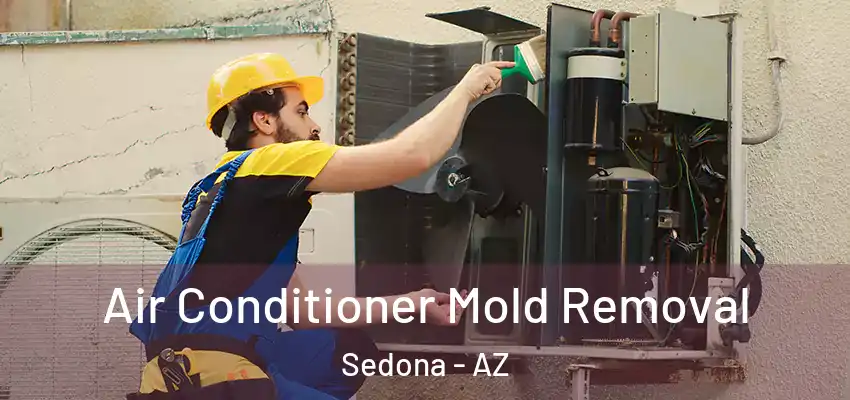  Air Conditioner Mold Removal Sedona - AZ