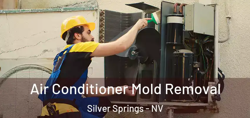 Air Conditioner Mold Removal Silver Springs - NV