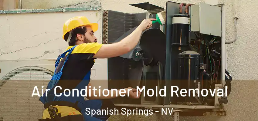 Air Conditioner Mold Removal Spanish Springs - NV