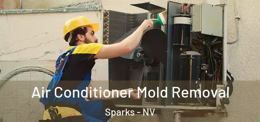  Air Conditioner Mold Removal Sparks - NV