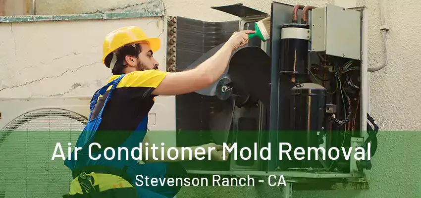  Air Conditioner Mold Removal Stevenson Ranch - CA