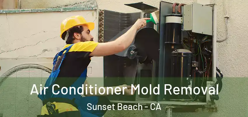  Air Conditioner Mold Removal Sunset Beach - CA