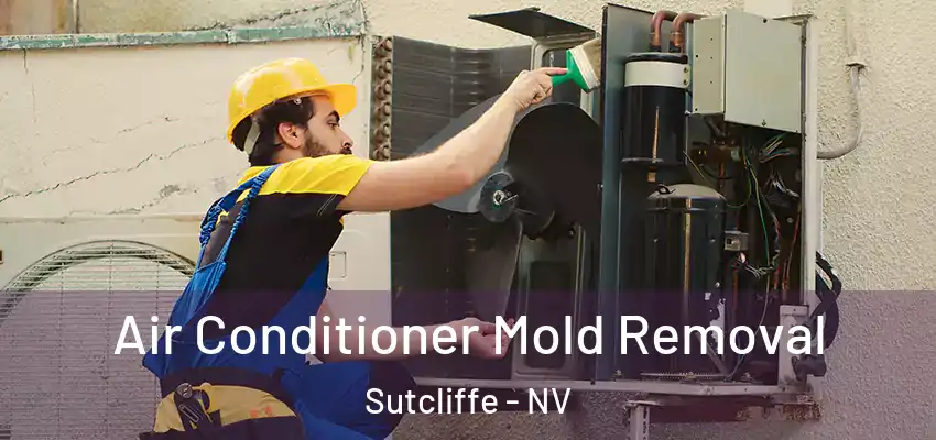  Air Conditioner Mold Removal Sutcliffe - NV