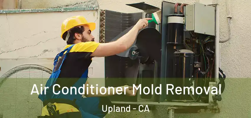 Air Conditioner Mold Removal Upland - CA