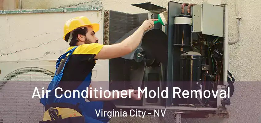 Air Conditioner Mold Removal Virginia City - NV