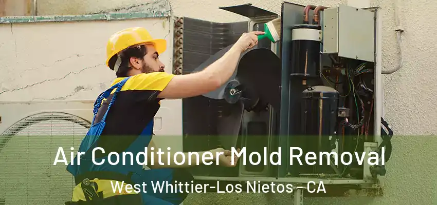 Air Conditioner Mold Removal West Whittier-Los Nietos - CA