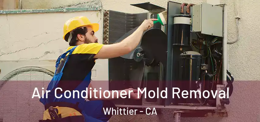  Air Conditioner Mold Removal Whittier - CA