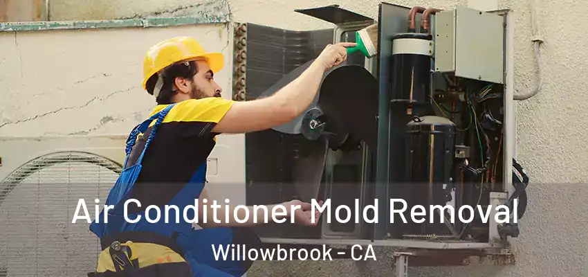  Air Conditioner Mold Removal Willowbrook - CA