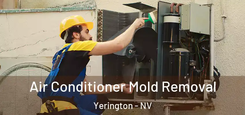  Air Conditioner Mold Removal Yerington - NV