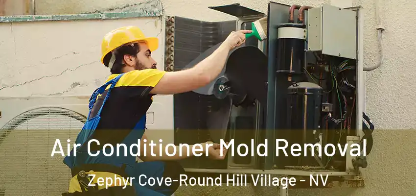 Air Conditioner Mold Removal Zephyr Cove-Round Hill Village - NV