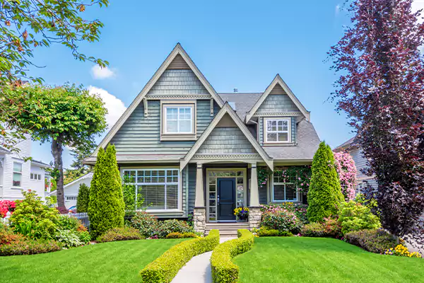 Black Mold Clean Up in Flagstaff, AZ