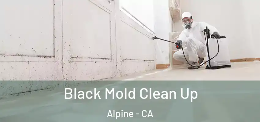  Black Mold Clean Up Alpine - CA