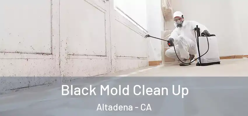  Black Mold Clean Up Altadena - CA