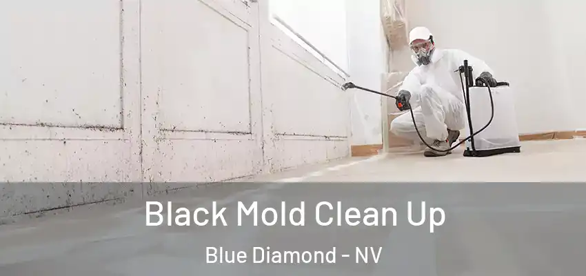  Black Mold Clean Up Blue Diamond - NV