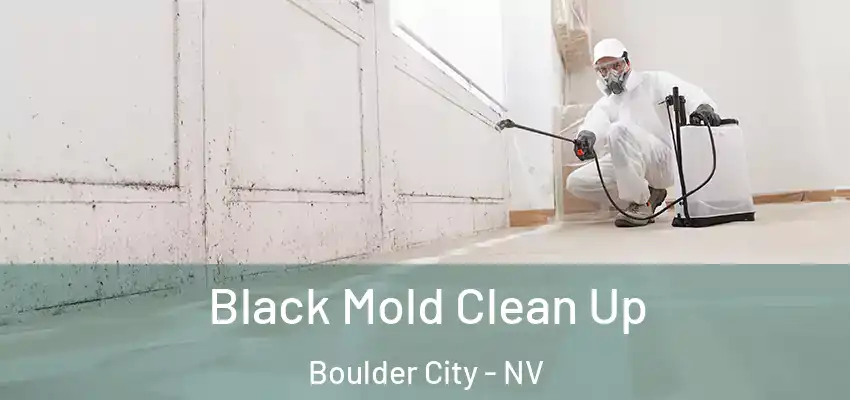  Black Mold Clean Up Boulder City - NV