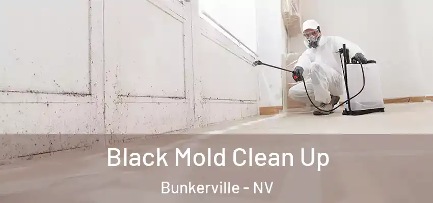 Black Mold Clean Up Bunkerville - NV