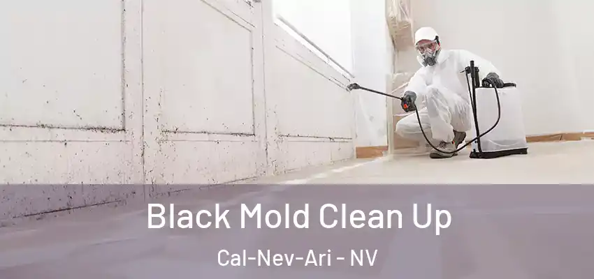  Black Mold Clean Up Cal-Nev-Ari - NV
