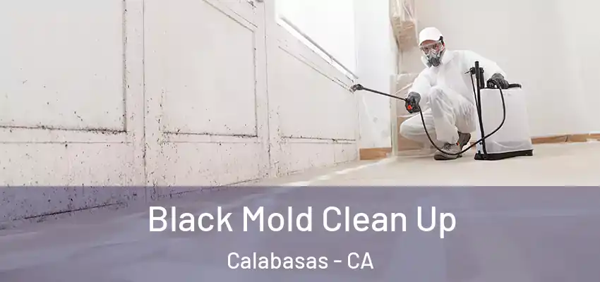  Black Mold Clean Up Calabasas - CA
