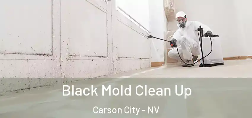 Black Mold Clean Up Carson City - NV