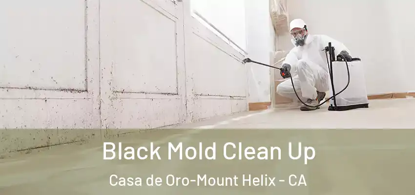  Black Mold Clean Up Casa de Oro-Mount Helix - CA