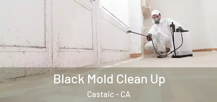  Black Mold Clean Up Castaic - CA