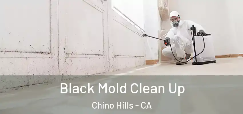  Black Mold Clean Up Chino Hills - CA