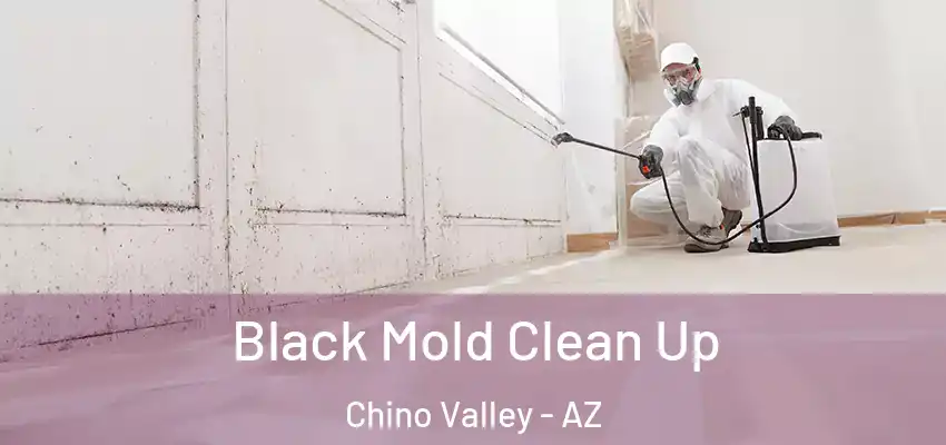  Black Mold Clean Up Chino Valley - AZ