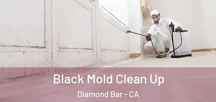 Black Mold Clean Up Diamond Bar - CA
